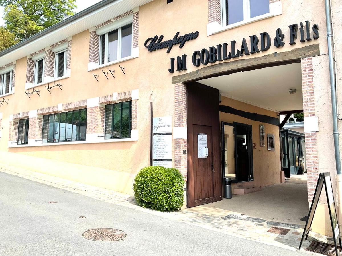 Les Loges Du Theatre Degustation Champagne Offerte Jacuzzi Sauna Jeux Velos Maison Prive 150M2 Historique 14Pers Max Emplacement Exceptionnel Et Chic, 200M De L'Avenue De Champagne, Gare, Musee, Jardins, Restaurations, Toutes Commodites Эперне Экстерьер фото