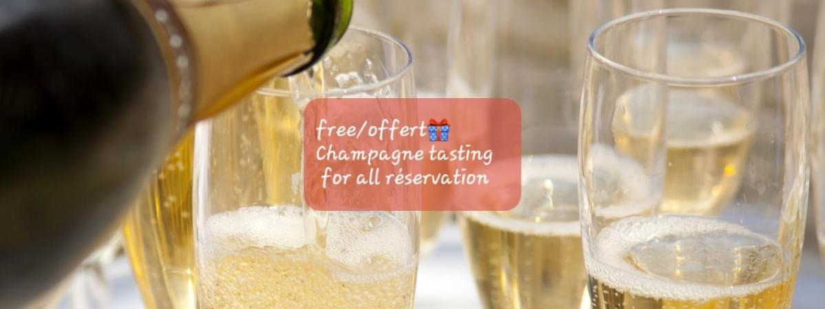 Les Loges Du Theatre Degustation Champagne Offerte Jacuzzi Sauna Jeux Velos Maison Prive 150M2 Historique 14Pers Max Emplacement Exceptionnel Et Chic, 200M De L'Avenue De Champagne, Gare, Musee, Jardins, Restaurations, Toutes Commodites Эперне Экстерьер фото