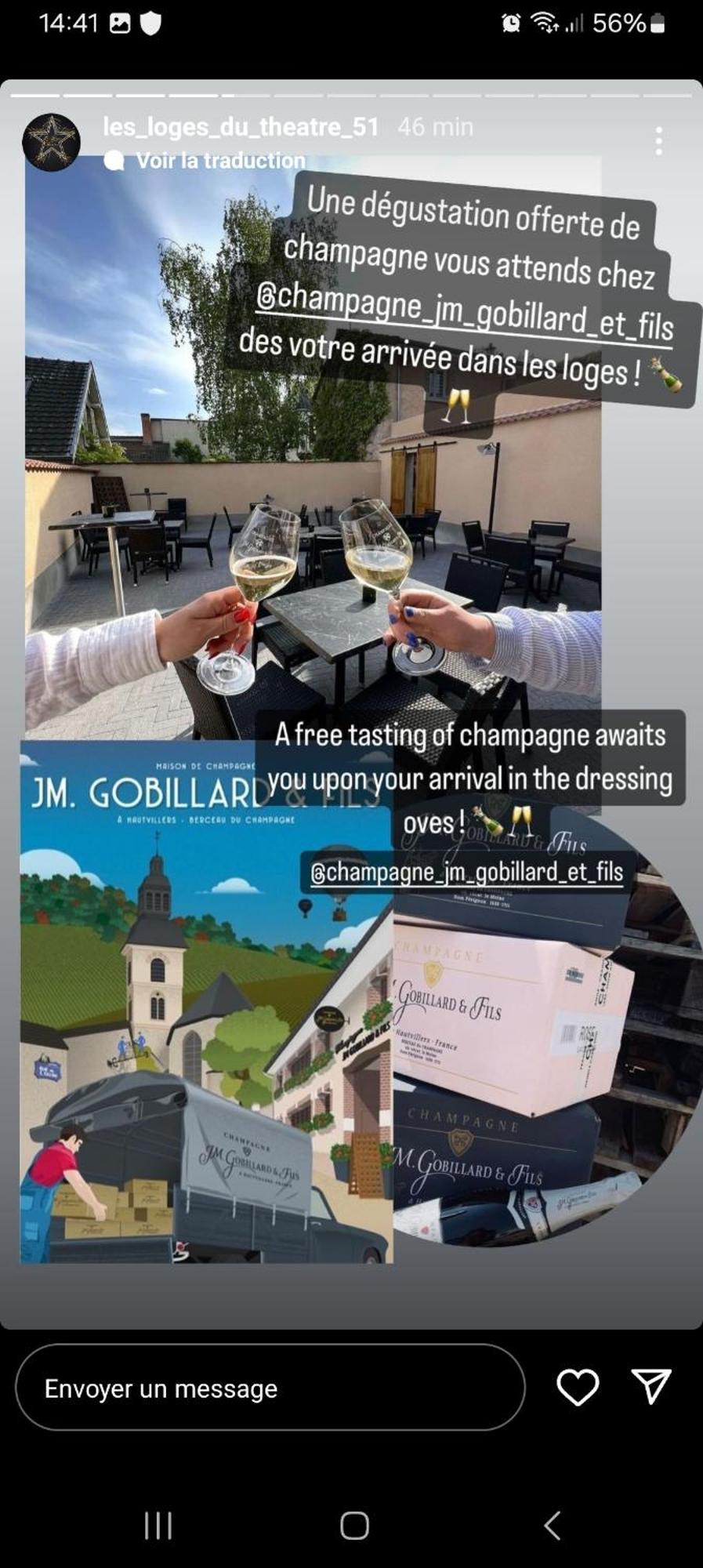 Les Loges Du Theatre Degustation Champagne Offerte Jacuzzi Sauna Jeux Velos Maison Prive 150M2 Historique 14Pers Max Emplacement Exceptionnel Et Chic, 200M De L'Avenue De Champagne, Gare, Musee, Jardins, Restaurations, Toutes Commodites Эперне Экстерьер фото