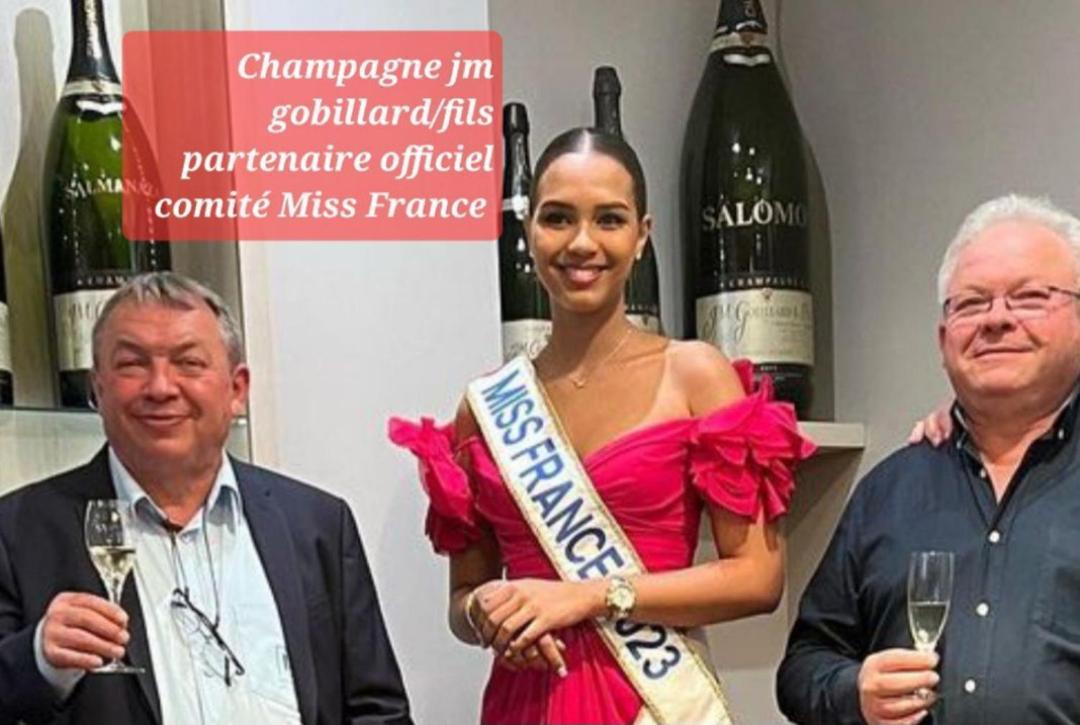 Les Loges Du Theatre Degustation Champagne Offerte Jacuzzi Sauna Jeux Velos Maison Prive 150M2 Historique 14Pers Max Emplacement Exceptionnel Et Chic, 200M De L'Avenue De Champagne, Gare, Musee, Jardins, Restaurations, Toutes Commodites Эперне Экстерьер фото